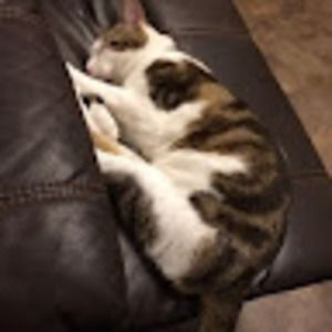 Meet your Posher, Jacob